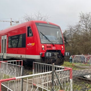 Ein Zug der Regionalbahn fährt auf den umstrittenen Bahnübergang in Rottenburg zu. Im Hintergrund warten Menschen. Schranken gibt es hier nicht, dafür Gitter.