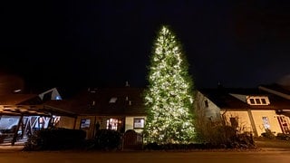 In Lustnau in Tübingen steht der wohl schönste Weihnachtsbaum. Er ist über 15 Meter hoch und mit hunderten Lichtern geschmückt.