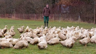 Matthis Pusch aus Tübingen züchtet 400 Enten