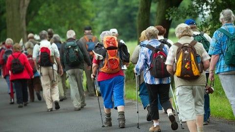 Eine Wandergruppe wandert durch die Natur