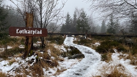 Ein Schild zeigt, dass hier der Lotharpfad beginnt. Es liegt ein bisschen Schnee. Der Lotharpfad wurde eingerichtet, um nach dem Orkan zu sehen, wie die Natur sich nach einem Kahlschlag entwickelt. 