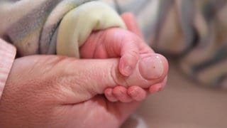 Babyhand umklammert Daumen eines Erwachsenen