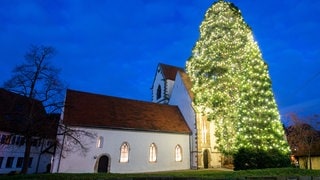 Ein weihnachtlich geschmückter Mammutbaum steht neben der Marienkirche in Bronnweiler (Kreis Reutlingen). Eine Stiftung soll sie erhalten.