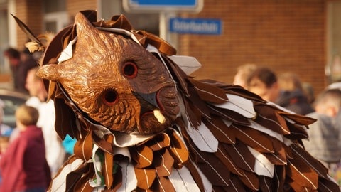 Ein Mann auf der Fasnet blickt als Eule samt Maske verkleidet bei einem Umzug in die Kamera