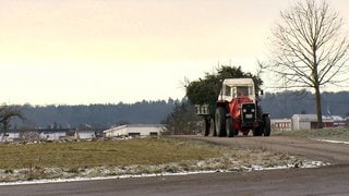 Ein mit Weihnachtsbäumen vollgeladener Traktor-Anhänger