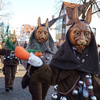 Begeisterte Zuschauer und eine Narrengruppe als Hasen beim Umzug in Tübingen-Hirschau. Dort waren nur Tiermasken unterwegs. 