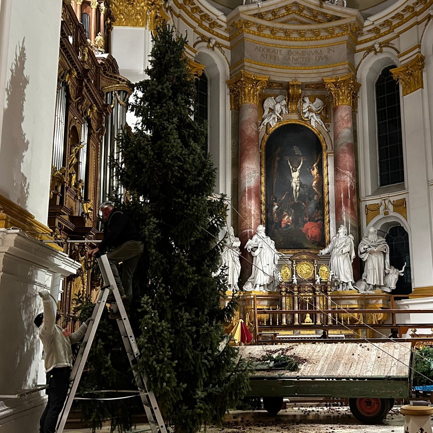 Ehrenplatz für ungeliebten Weihnachtsbaum im Kloster Wiblingen SWR