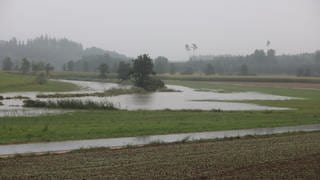 Die Weihung, ein Zufluss der Donau, ist am Freitagmittag bei Schnürpflingen-Beuren (Alb-Donau-Kreis) über die Ufer getreten.