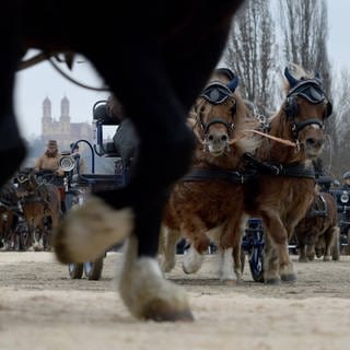 Anfang Januar wird Ellwangen wieder ganz im Zeichen des Kalten Marktes stehen. Der traditionelle Pferdemarkt beginnt am 6. Januar 2023. (Archivbild)