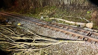 Brenzbahn hat am Montagabend naheHermaringen (Kreis Heidenheim) einen Baum überfahren, der auf die Gleise gestürzt war.