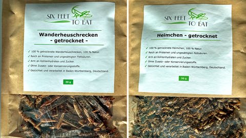 Das Museum für Brot und Kunst in Ulm bietet Insekten-Snacks zum Probieren an. 