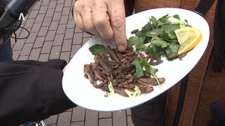 Ein Teller mit Salat, Heuschrecken und Heimchen: Menschen in der Ulmer Fußgängerzone verkosten gerillte Insekten.