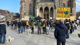 Eine Menschengruppe vor dem Ulmer Münster. Auf dem Ulmer Münsterplatz haben am Freitag rund 500 Menschen für das Klima und eine schnelle Verkehrswende demonstriert. 