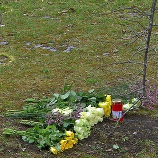 Blumen liegen am Tatort nach der Kindstötung eines 7-jährigen Mädchens in Ulm-Wiblingen