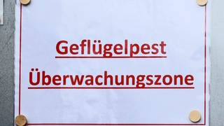 "Geflügelpest Überwachungsgebiet" steht auf einem Schild