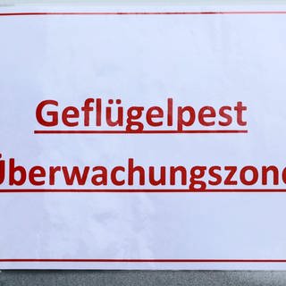 "Geflügelpest Überwachungsgebiet" steht auf einem Schild