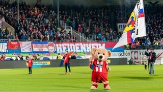 Das Maskottchen des FCH. Vieles spricht im Moment dafür, dass der 1. FC Heidenheim bald Bundesligist ist. (Archivbild)