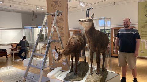 Museumspädagoge Malte Aurich in der neuen Sonderausstellung "Museumsperlen", die zum 100. Geburtstag auch 100 Objekte zeigt. 