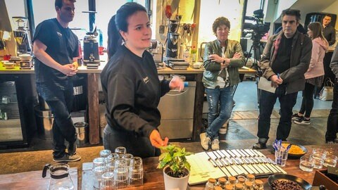 Kürzlich wurde in Ulm der allererste Kaffee geerntet, von einer Kaffeepflanze im Ulmer Tiergarten. Jetzt stand die Verkostung an. 