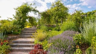 Neuer Leiter des botanischen Garten erzählt über seine Arbeit, über Talking Trees und den Klimawandel.