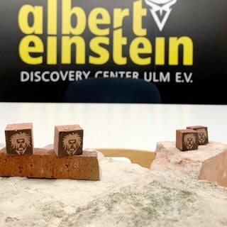 Das geplante Albert Einstein Discovery Center in Ulm soll zwischen 70 und 90 Millionen Euro kosten. (Archivbild)