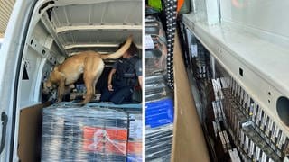 Tabakspürhund erschnüffelt 100.000 Schmuggelzigaretten in einem Transporter auf A8 bei Ulm. 