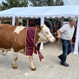 Larissa, die schönste Kuh Deutschlands beim Hoffest in Ellwangen-Rindelbach. Gemeinsam mit Landwirt Josef Hilsenbek.