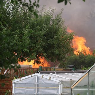 Gewächshäuser in einer Gartensiedlung, dahinter lodern Flammen und man sieht Qualm. Der Brand in einer Gartenanlage am Montag in Neu-Ulm hat hohen Sachschaden zur Folge.