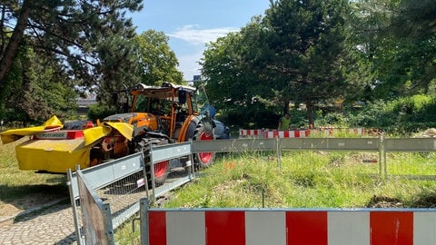 Am Montag sind die Bäume, die umziehen sollen, gewässert worden. Jeder Baum erhält 1.000 Liter Wasser. Nur so ist ein "gesunder" Umzug möglich.