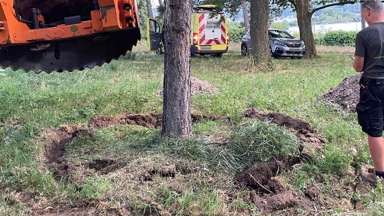 Rund um einen Baumstamm zeigt ein in der Erde markierter Kreis, wo ausgebaggert werden soll. Zuerst wird markiert, wo die Baggerschaufel ansetzt und wieviel von dem Wurzelballen des Baumes mit soll, nach Ulm-Söflingen....