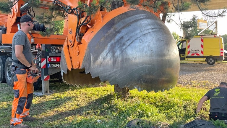 Die Schaufel eines Spezialbaggers bereitet sich zum Aushub des Wurzelballens eines Baumes vor. ...die überdimensionale Baggerschaufel nimmt Maß...