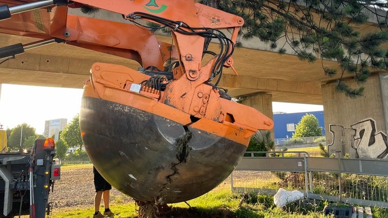 Die Schaufel eines Spezialbaggers hat einen ganzen Baum samt Wurzelballen ausgegraben.  Der Spezialbagger packt zu und baggert den ganzen Baum samt Wurzelballen aus der Erde.