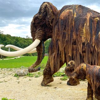 Mammut Niederstotzingen