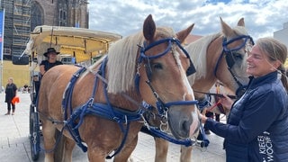 Pferdegespanne auf dem Ulmer Münsterplatz. Zehn Gespanne mit Pferden machen sich mit der Glocke für den Frieden auf den Weg: Von Ulm geht es zunächst ins Allgäu und dann bis in die Nähe von München, ehe die Gruppe am 25. August wieder auf dem Ulmer Münsterplatz ankommen wird.