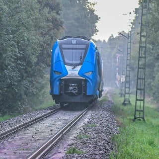 Ein Zug der Riesbahn musste am Samstag bei Westhausen im Ostalbkreis evakuiert werden. Der Grund: Ein Schaden an der Oberleitung.