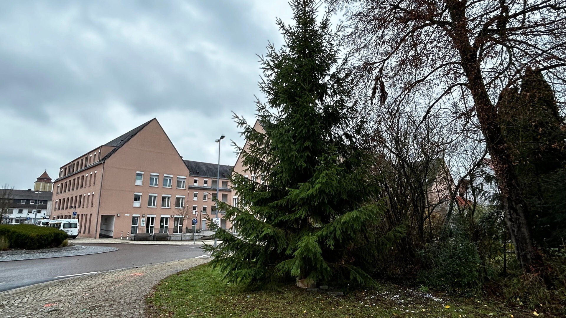 Ehrenplatz für ungeliebten Weihnachtsbaum im Kloster Wiblingen SWR