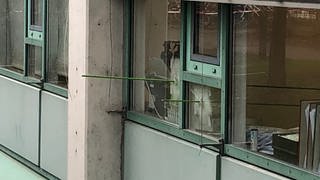 In der Nacht von Donnerstag auf Freitag gab es Schüsse auf ein Büro vom Landratsamt Alb-Donau-Kreis in Ulm.