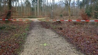 Ein Waldweg ist mit rot-weißen Flatterbändern abgesperrt. In einem Waldstück bei Ulm-Wiblingen ist eine 15-Jährige mutmaßlich von ihrem gleichaltrigen Freund angegriffen und gewürgt worden. Das Mädchen wurde zunächst gerettet, starb dann jedoch wenige Tage später im Krankenhaus. 
