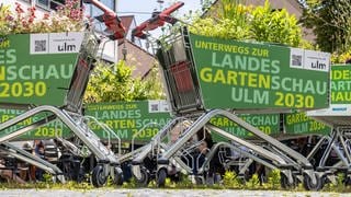 Einkaufswagen mit Werbung für die Landesgartenschau 2030 auf den Seiten. Schon lange freut sich Ulm auf die Landesgartenschau 2030. Schon 2021 machten diese bepflanzten Einkaufswagen Werbung für die Landesgartenschau. 