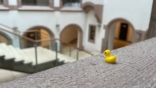 Eine Mini-Ente sitzt auf einem Vorsprung mit Blick über die Eingangshalle des Rathauses.