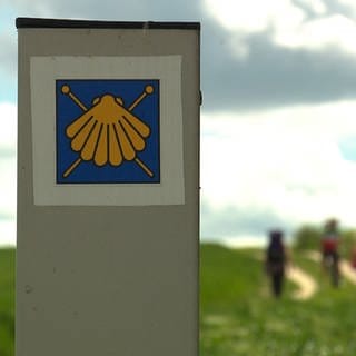 Eine gelbe Muschel auf blauem Grund hilft Pilgern auf dem Jakobsweg, den richtigen Weg zu finden.