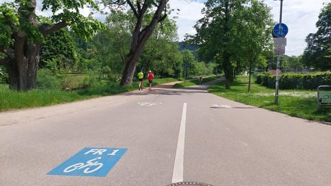 Ein Fahrradfahrer fährt auf dem Radschnellweg FR1. Er führt entlang der Dreisam und ist breit und vom Fußgängerweg abgetrennt, worauf gerade zwei Personen joggen. 