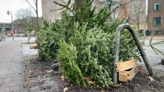 Der Alb-Donau-Kreis führt keine zentral geregelte Christbaumsammlung durch.