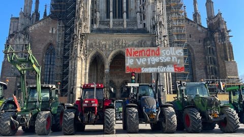 Große Präsenz der Landwirte auch auf dem Ulmer Münsterplatz am Dienstagmittag. 90 Traktoren haben sich versammelt - allerdings nicht auf Initiative des Kreisbauernverbandes.