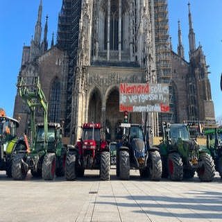 Große Präsenz der Landwirte auch auf dem Ulmer Münsterplatz am Dienstagmittag. 90 Traktoren haben sich versammelt - allerdings nicht auf Initiative des Kreisbauernverbandes.
