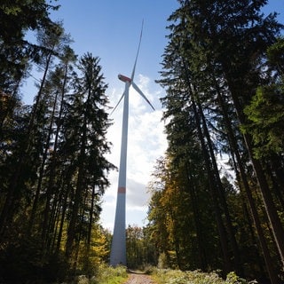 Seit 2021 hat ForstBW rund 7.000 Hektar Staatswaldflächen für Windräder angeboten.103 Windkraftanlagen drehen sich bereits. (Symbolbild)