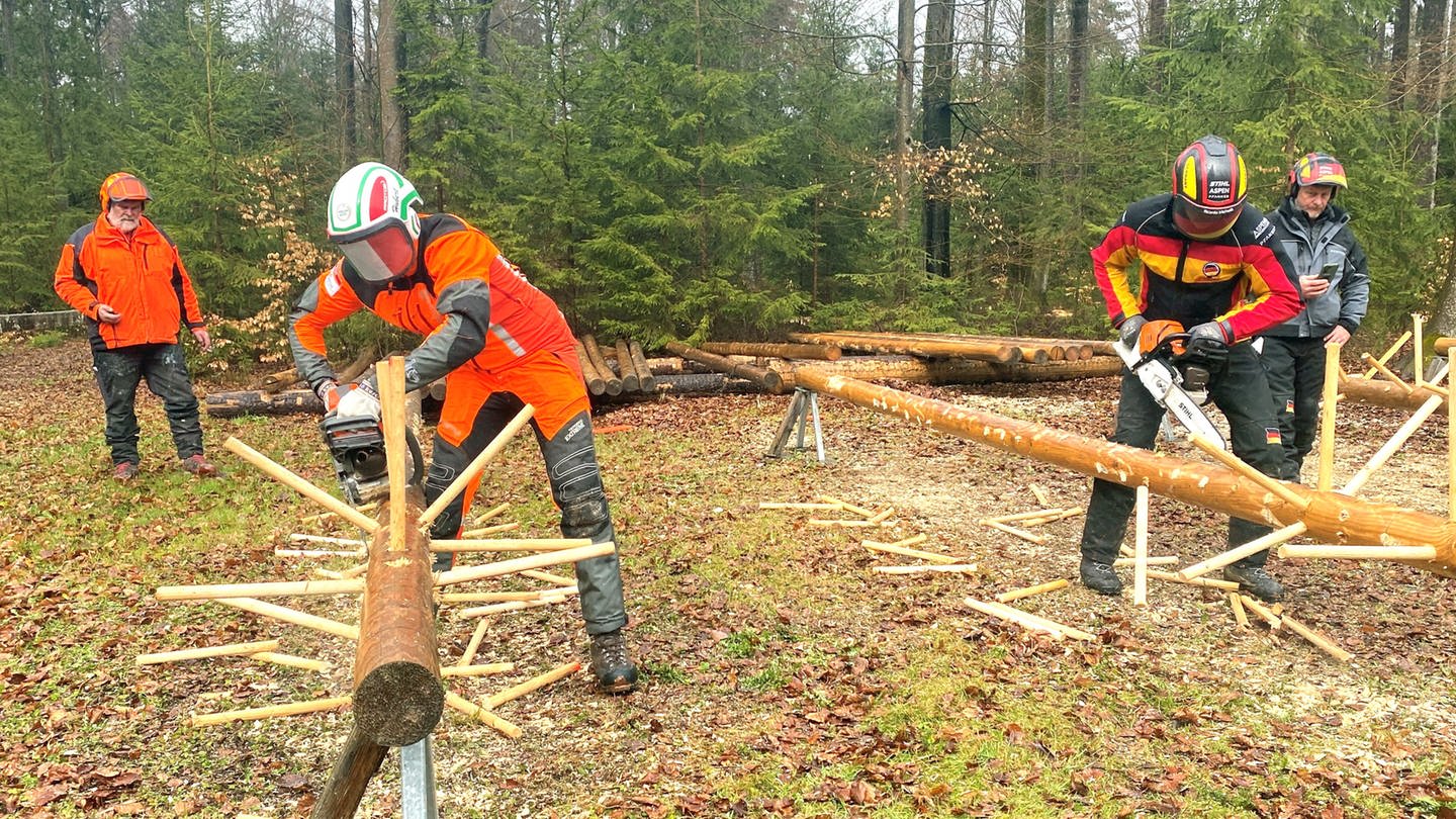 Waldarbeiter-Weltmeisterschaft in Königsbronn-Ochsenberg im Landkreis Heidenheim