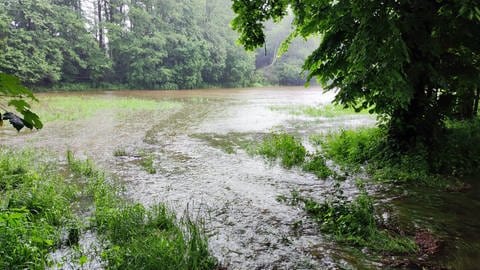 Auch in Wäldern wirken derzeit überschwemmte Wiesen fast wie Seelandschaften. Vielleicht war dieses überflutete Gelände bei Krumbach im Kreis Günzburg auch Lebensraum für Rehe.