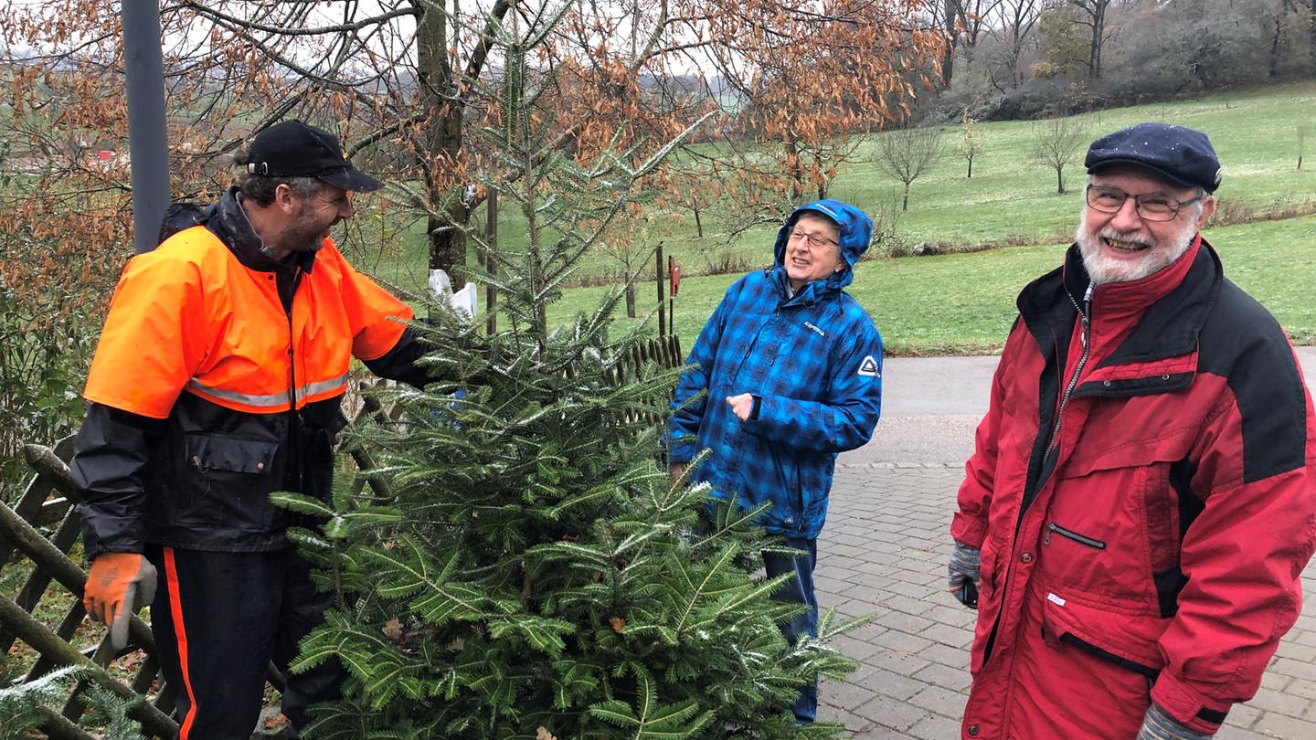 Ein Mann präsentiert einem Ehepaar einen Nadelbaum. Robert Zeller (links) verkauft schon Ende November die ersten Weihnachtsbäume in Aalen-Hofen. Das Ehepaar Gabriele und Hans-Peter Wettemann sind schon ganz früh dran.