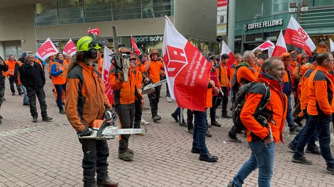 Ver.di-Warnstreik und Kundgebung auf Ulmer Münsterplatz um Tarifstreit im Öffentlichen Dienst